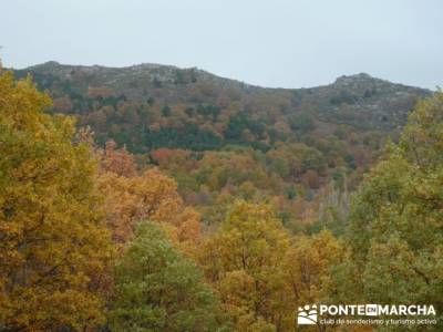 El Castañar de El Tiemblo, excursiones alrededores de madrid; yelmo pedriza